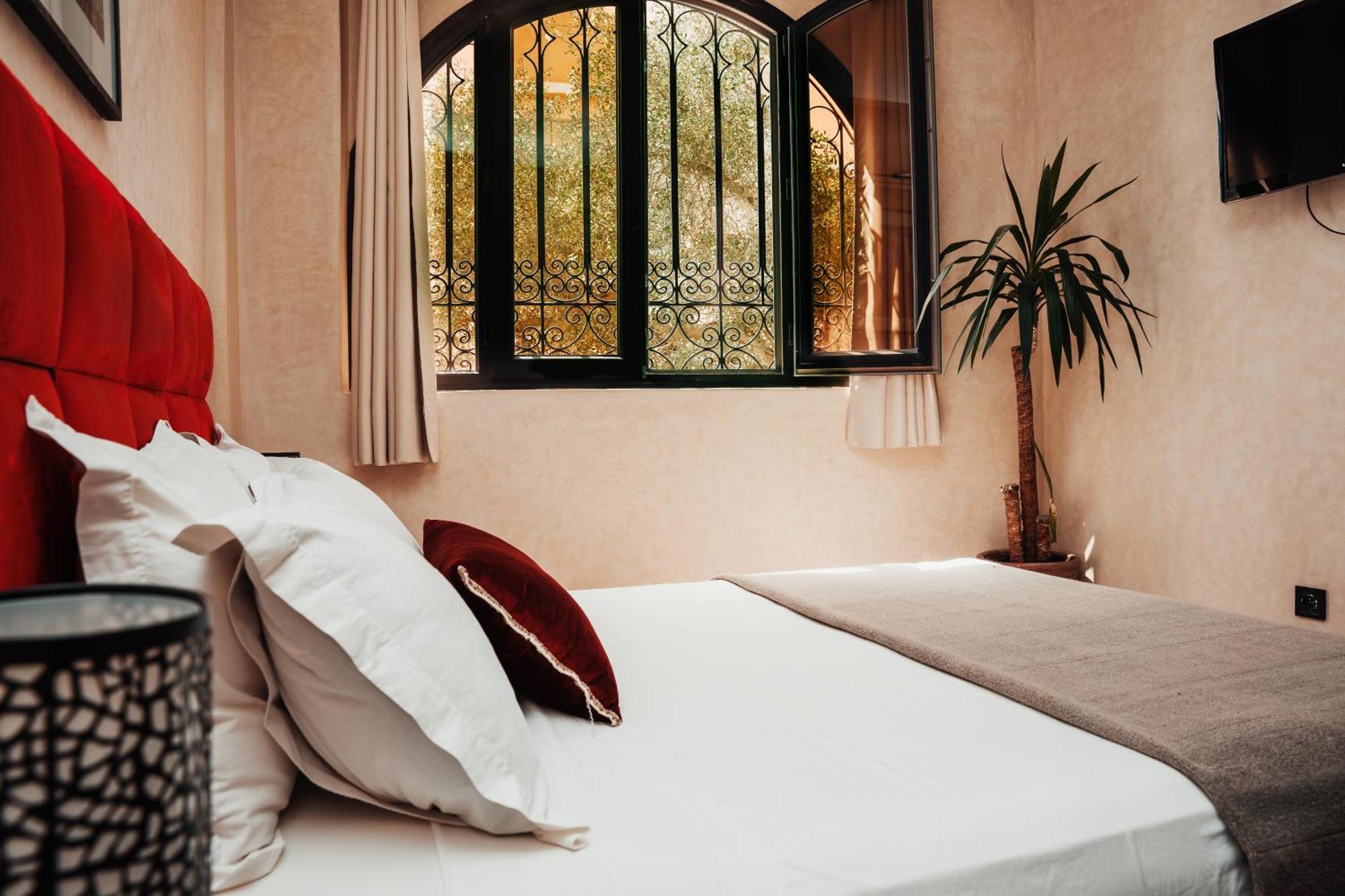 Auberge Riad Dlim Tamraght Extérieur photo